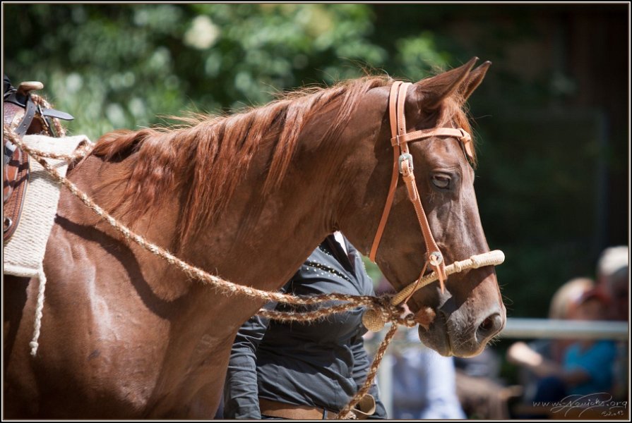 Thalmeier Ranch 2014 06 15 - 147